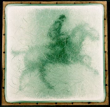 Horse Galloping 2