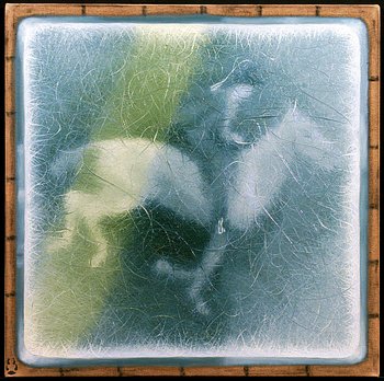 Horse Galloping 3