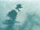 Horse Galloping 5 detail